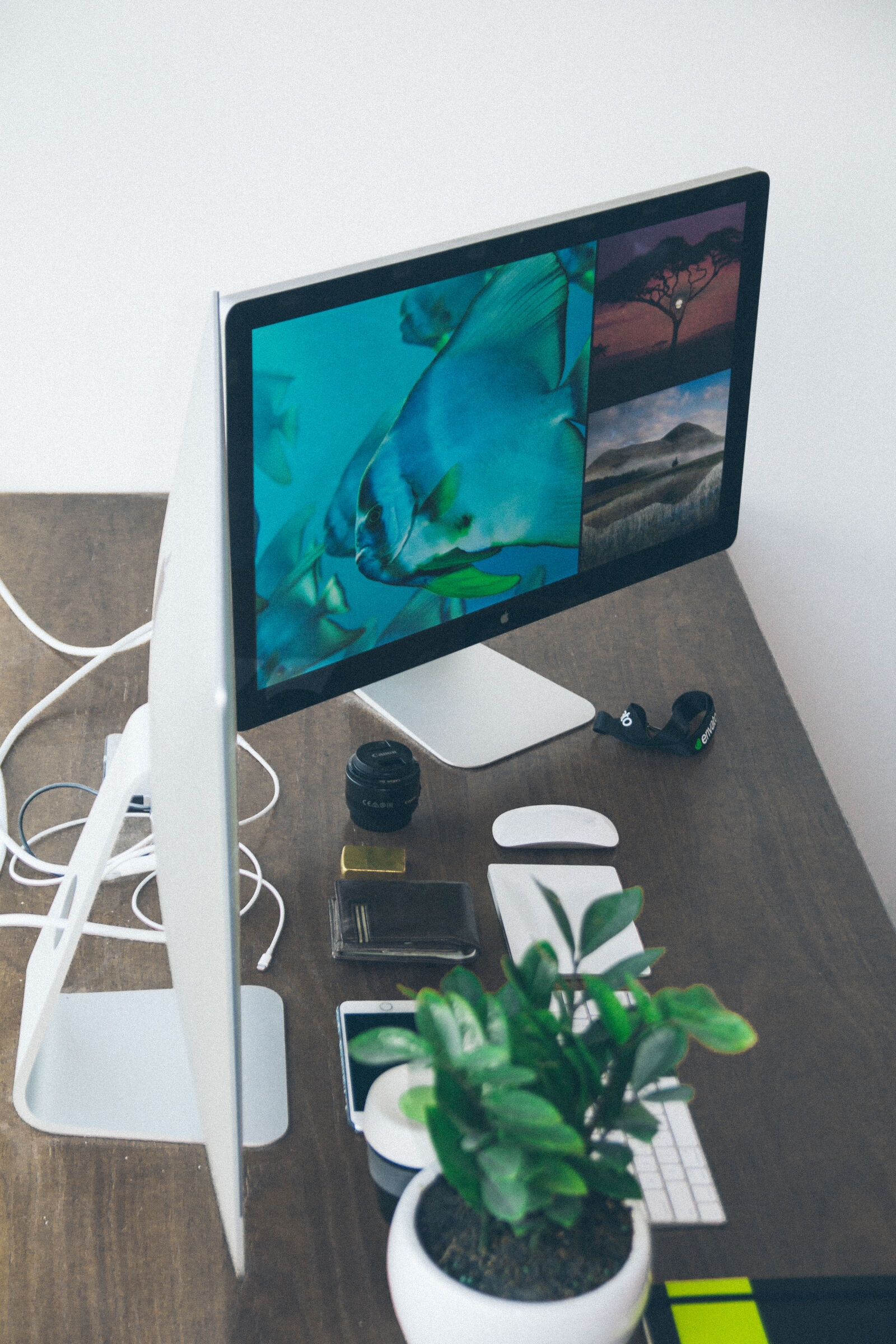 Canon EOS 60D sample photo. Wood, apple, desk, working photography
