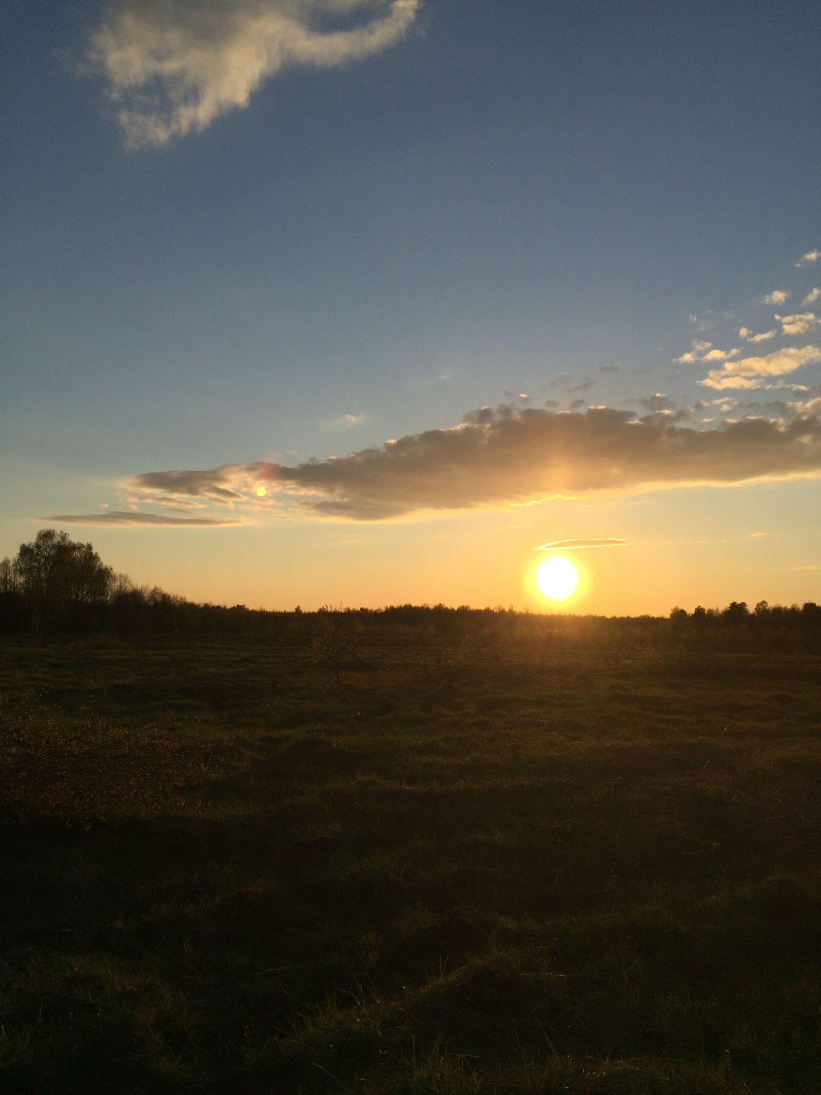 Apple iPhone 6 sample photo. Field, sun, spring photography