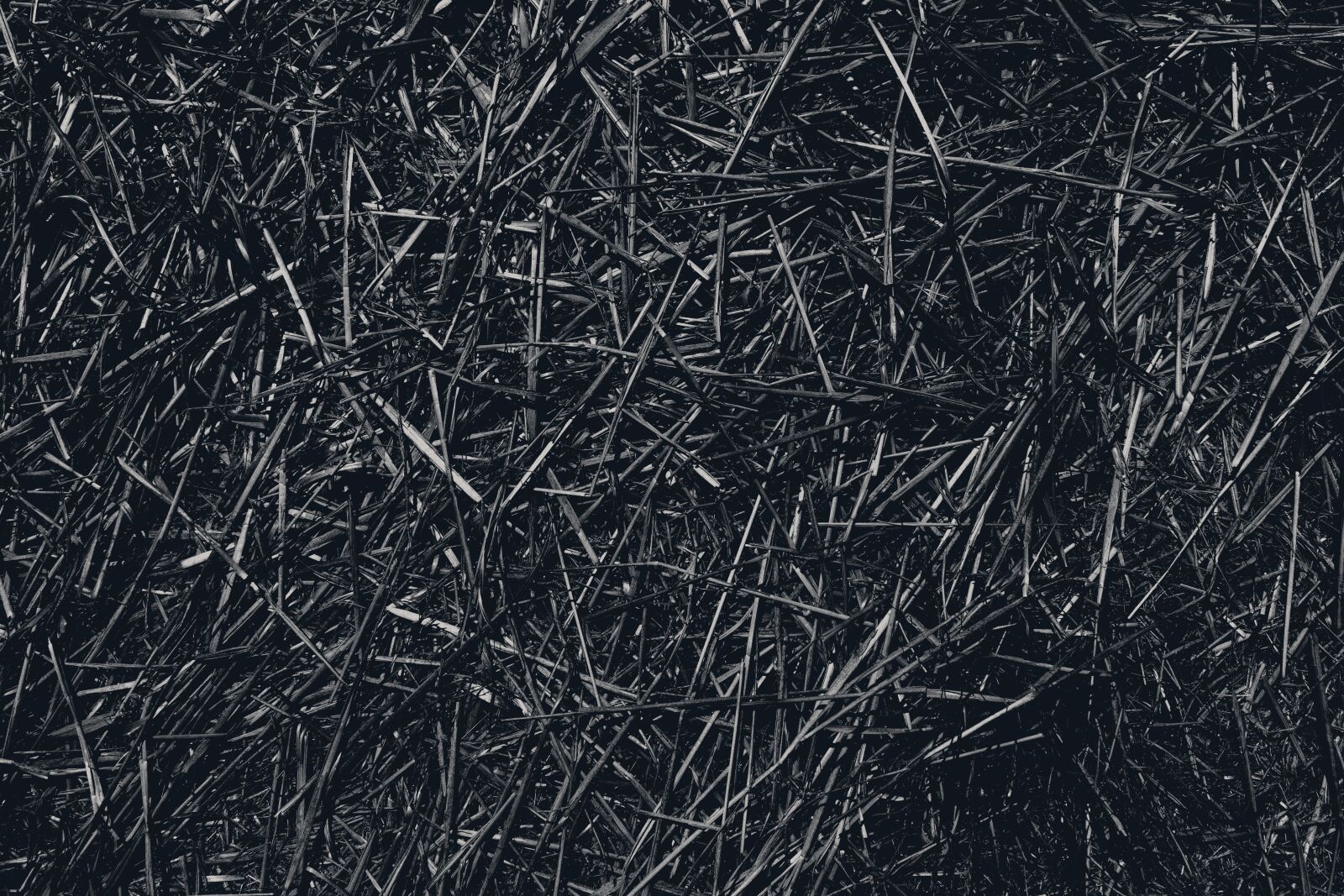 Nikon D5600 sample photo. Texture, straw, hay photography