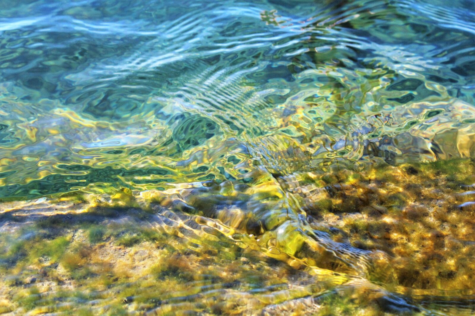 Canon EOS 550D (EOS Rebel T2i / EOS Kiss X4) sample photo. Bank, water, lake photography