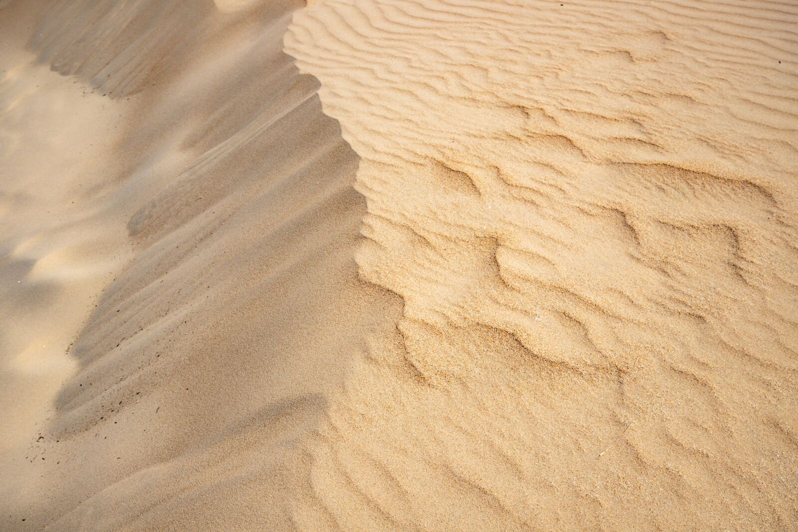 Canon EF 16-35mm F4L IS USM sample photo. Sand, beach, sea photography