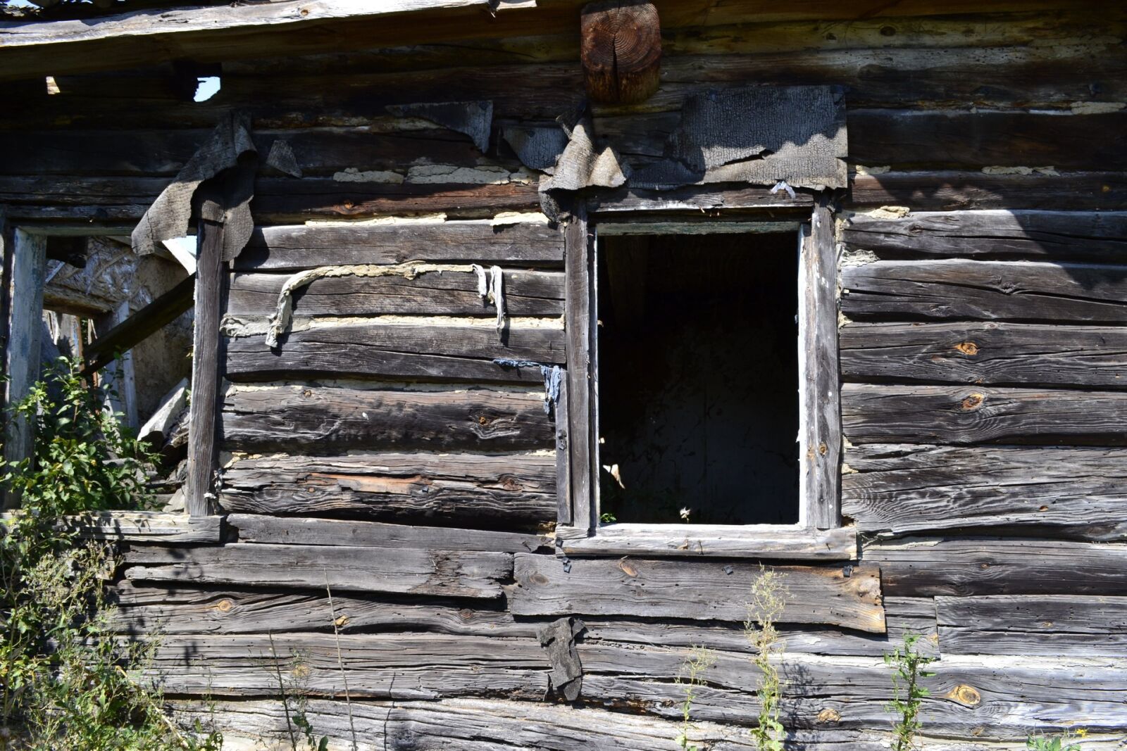 Nikon D3100 sample photo. Wood, old, the abandoned photography