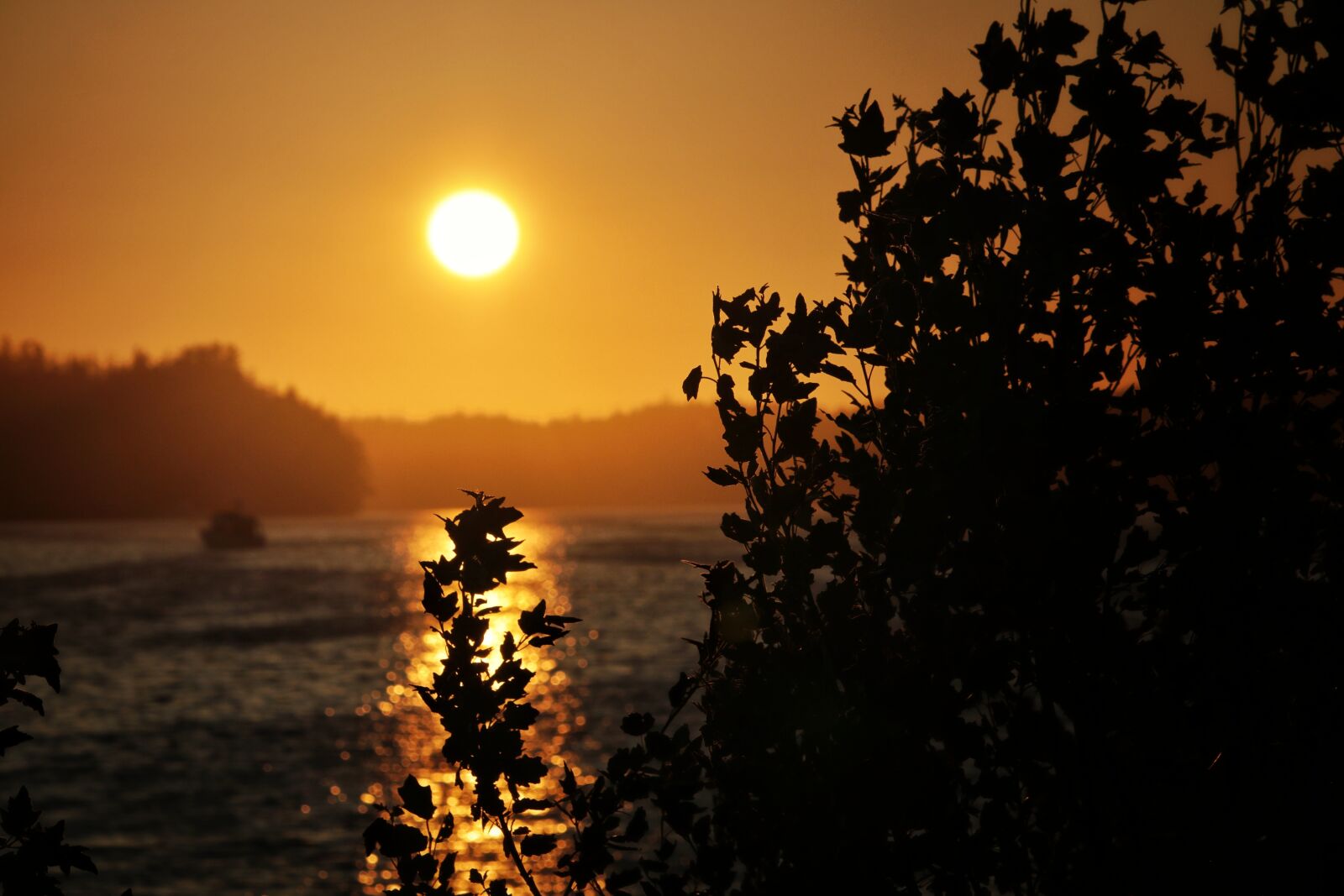 Canon EF-S 55-250mm F4-5.6 IS STM sample photo. Sunset, mood, scene photography