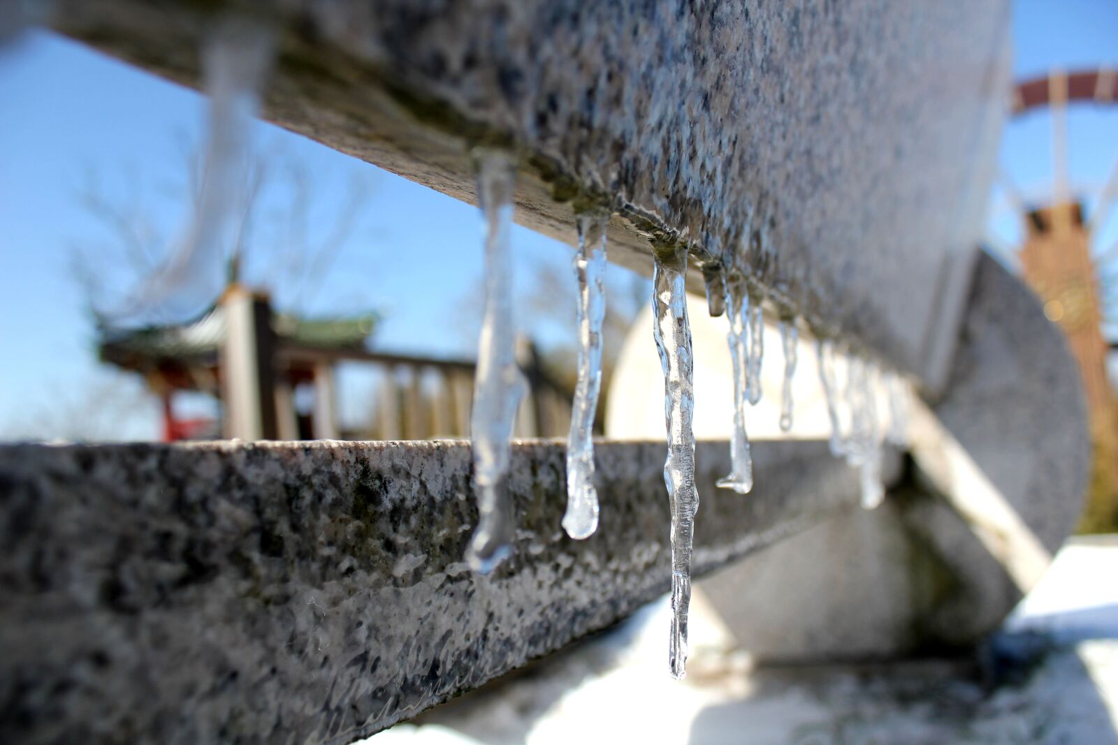 Canon EOS 550D (EOS Rebel T2i / EOS Kiss X4) sample photo. Ice, flower, stool photography