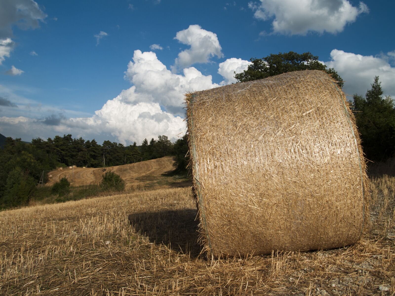 Olympus E-300 (EVOLT E-300) sample photo. Hay, bale, hay bales photography