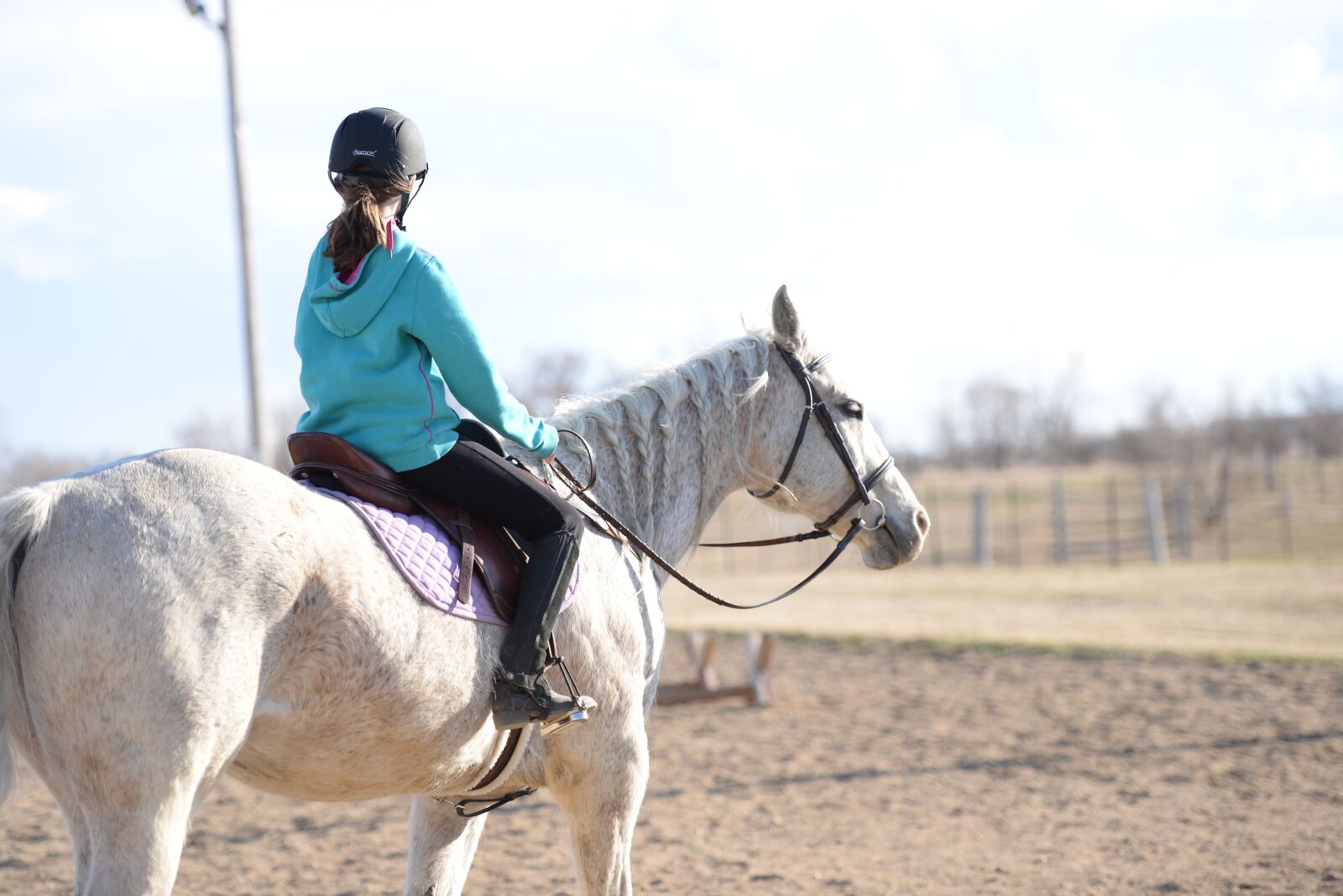 Nikon D610 sample photo. Stables, horse, farm photography