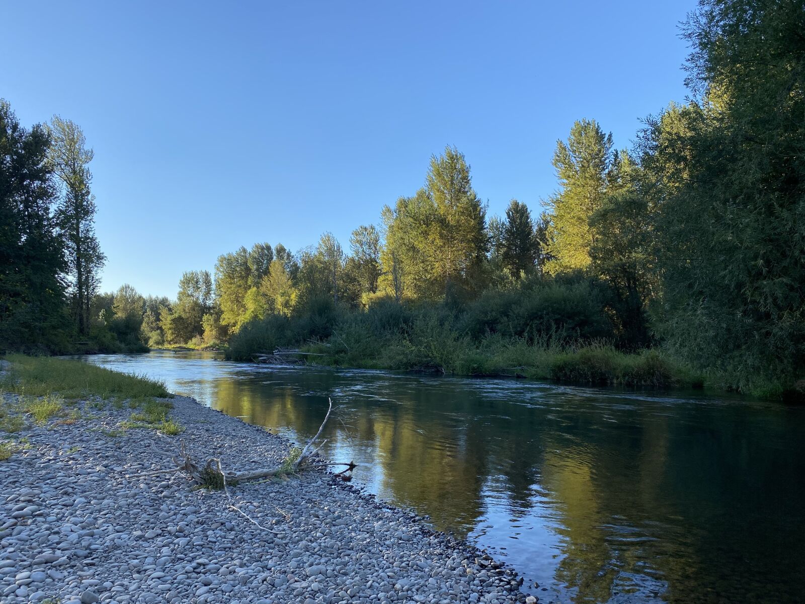 Apple iPhone 11 sample photo. River, oregon, nature photography