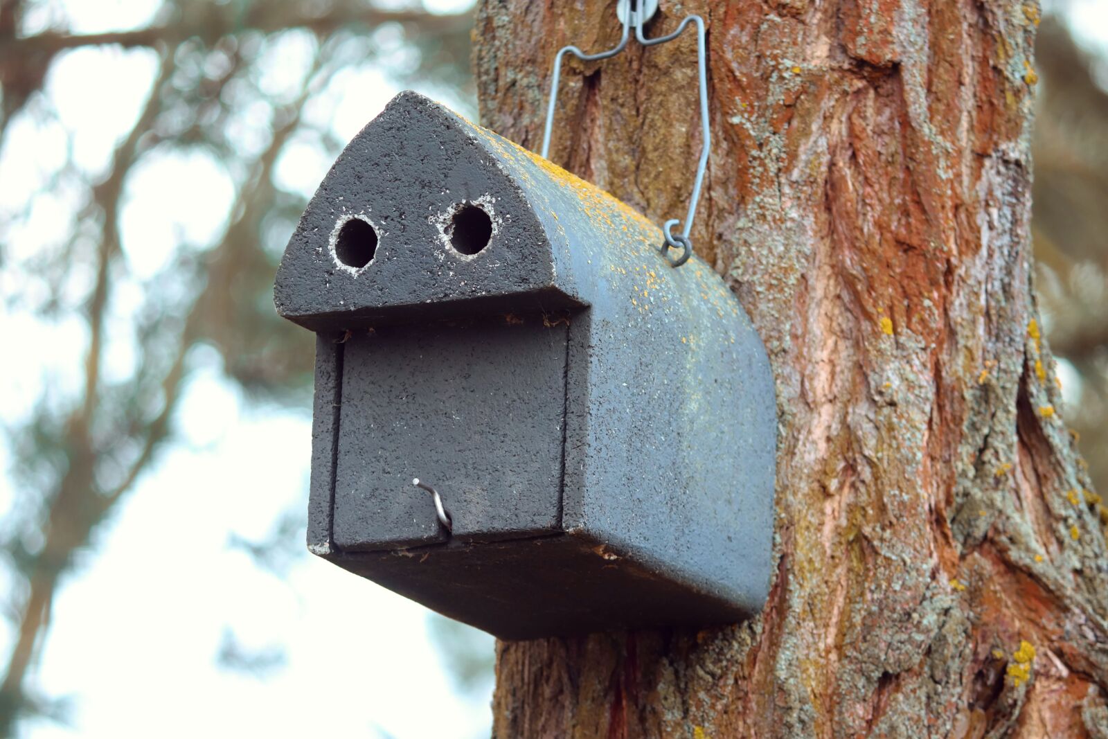 Canon EOS 200D (EOS Rebel SL2 / EOS Kiss X9) sample photo. Aviary, nesting box, nature photography