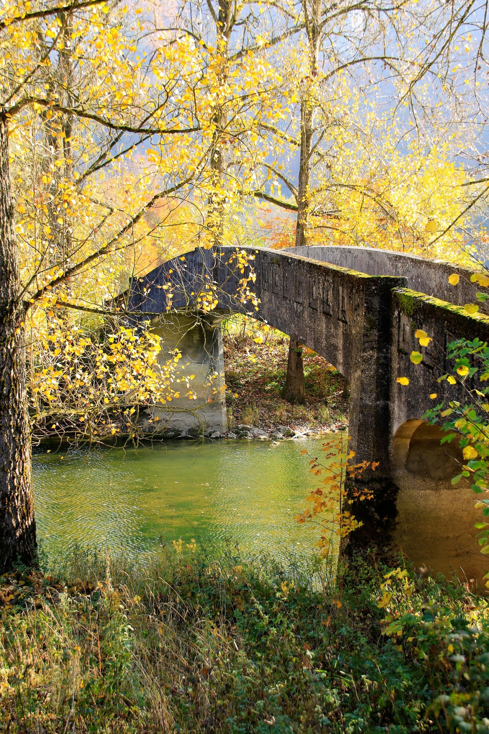 Canon EOS 7D Mark II sample photo. Autumn, bridge, leaves photography