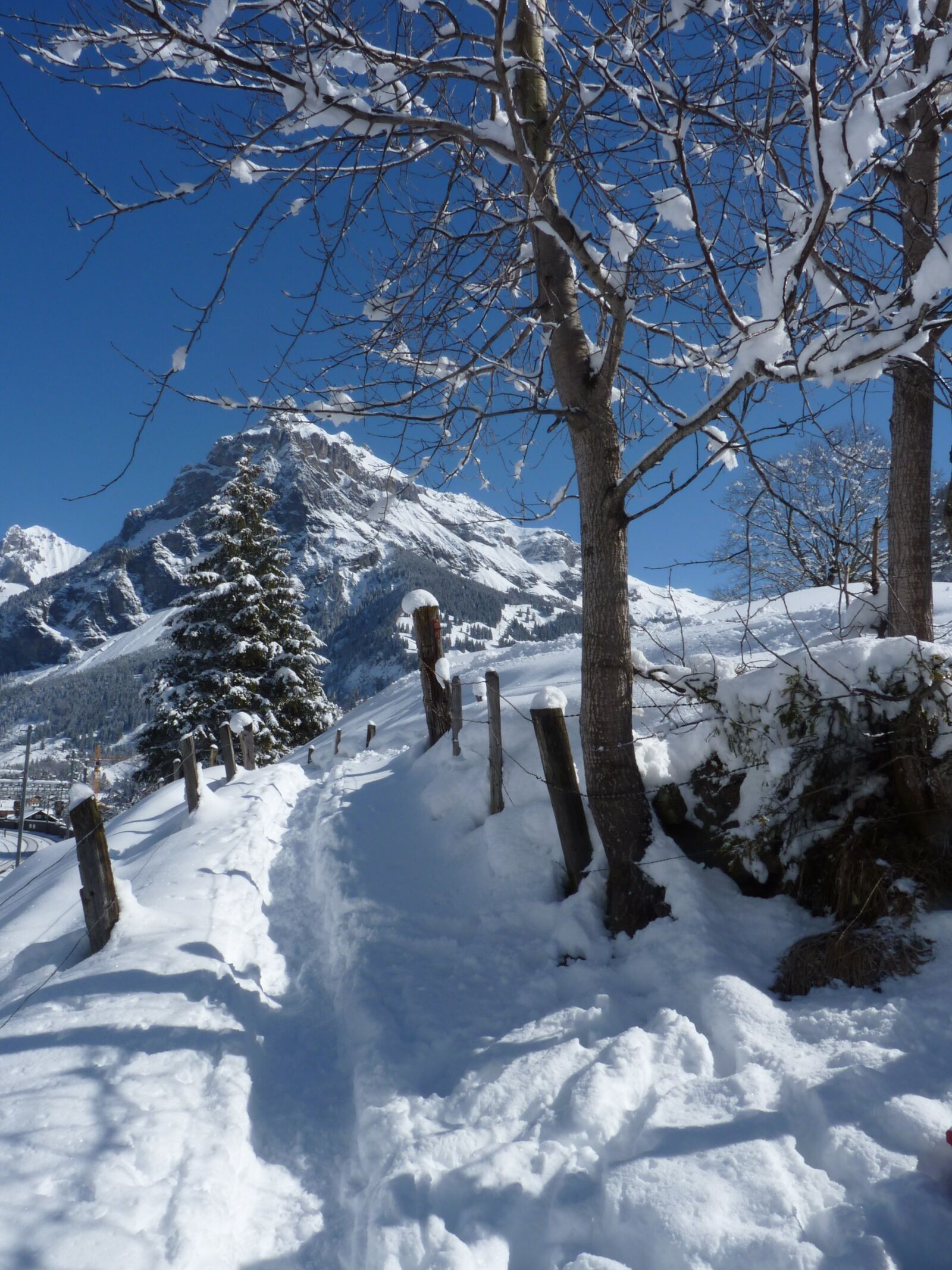 Panasonic Lumix DMC-FZ35 (Lumix DMC-FZ38) sample photo. Snow, winter, mountain photography