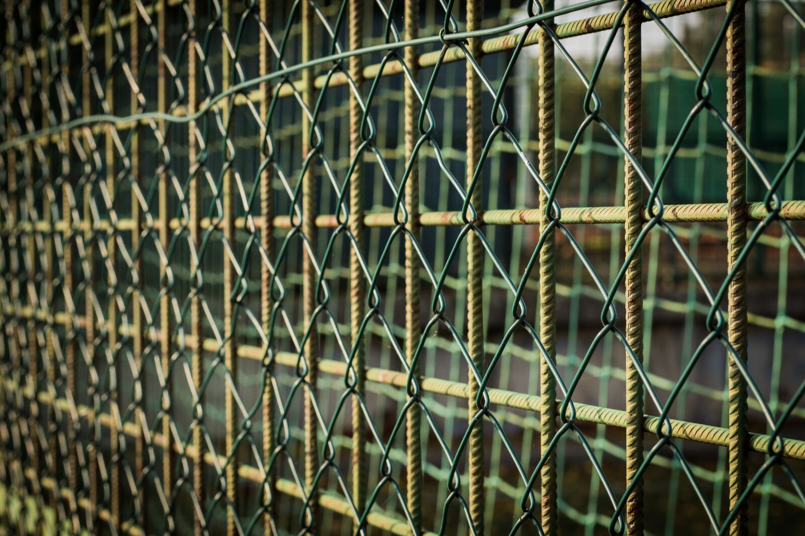 Canon EOS 700D (EOS Rebel T5i / EOS Kiss X7i) sample photo. Fence, oploceno, fenced photography