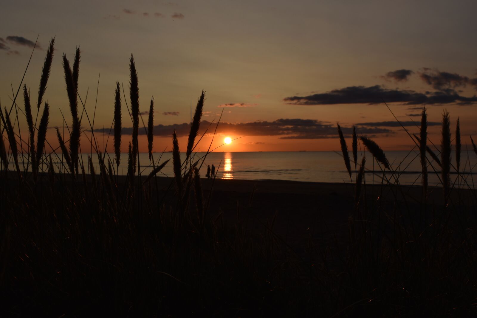 Nikon D5600 sample photo. Nature, sunset, sea photography