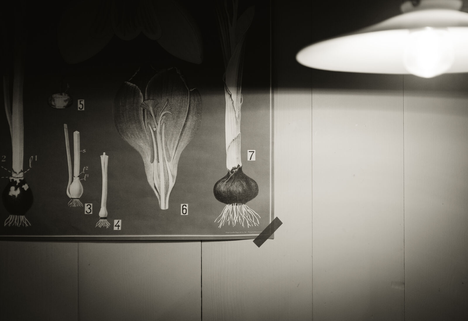 Fujifilm X100T sample photo. Kitchen photography