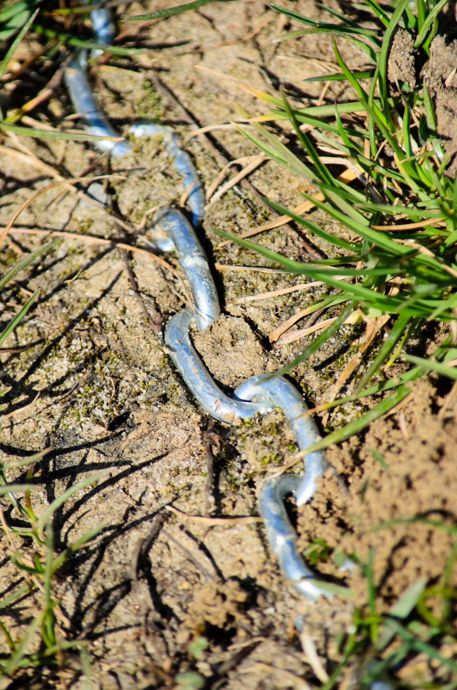 Nikon D5100 sample photo. Chain, barrier, ground photography
