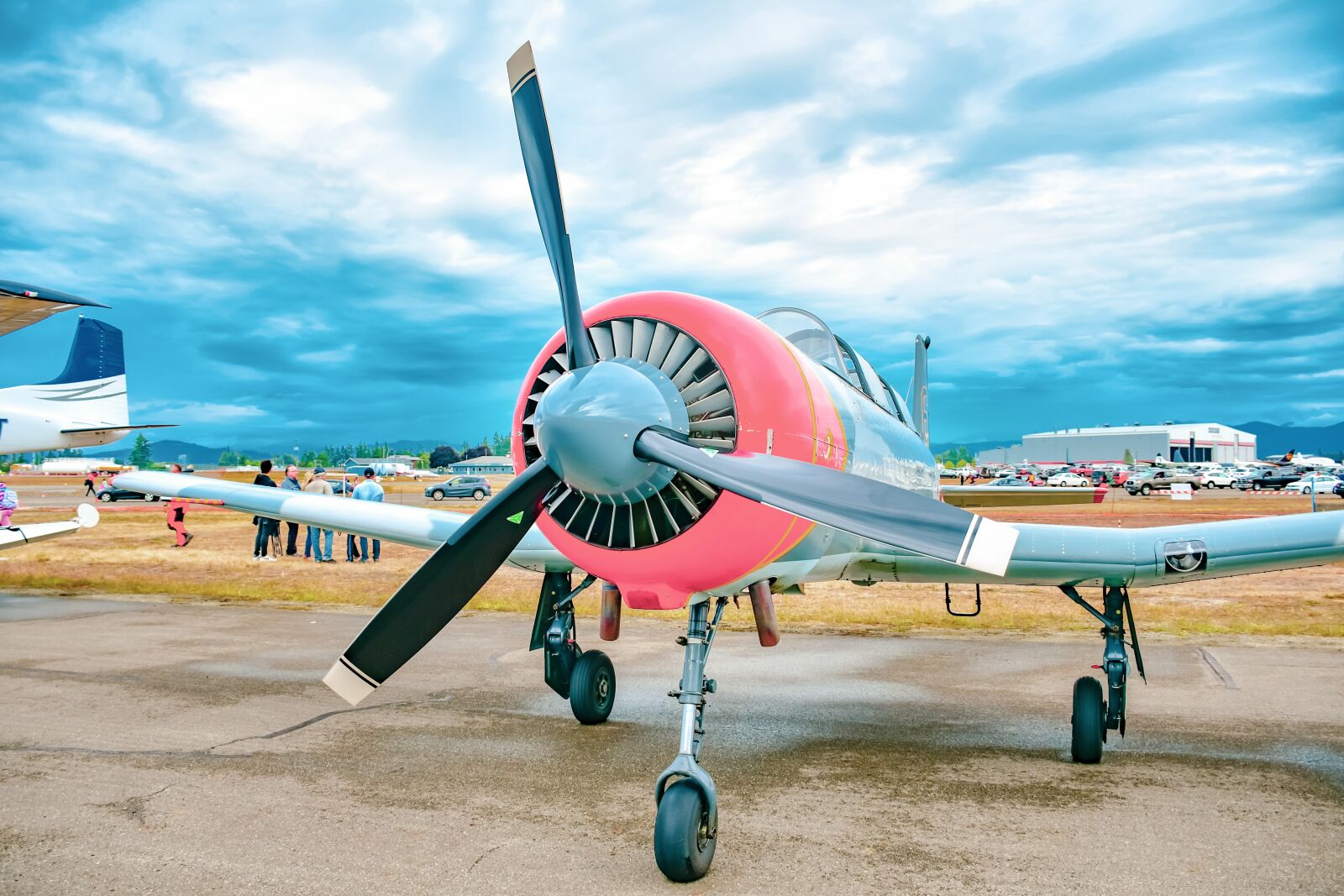 Nikon D7500 sample photo. Russian yak, propeller plane photography