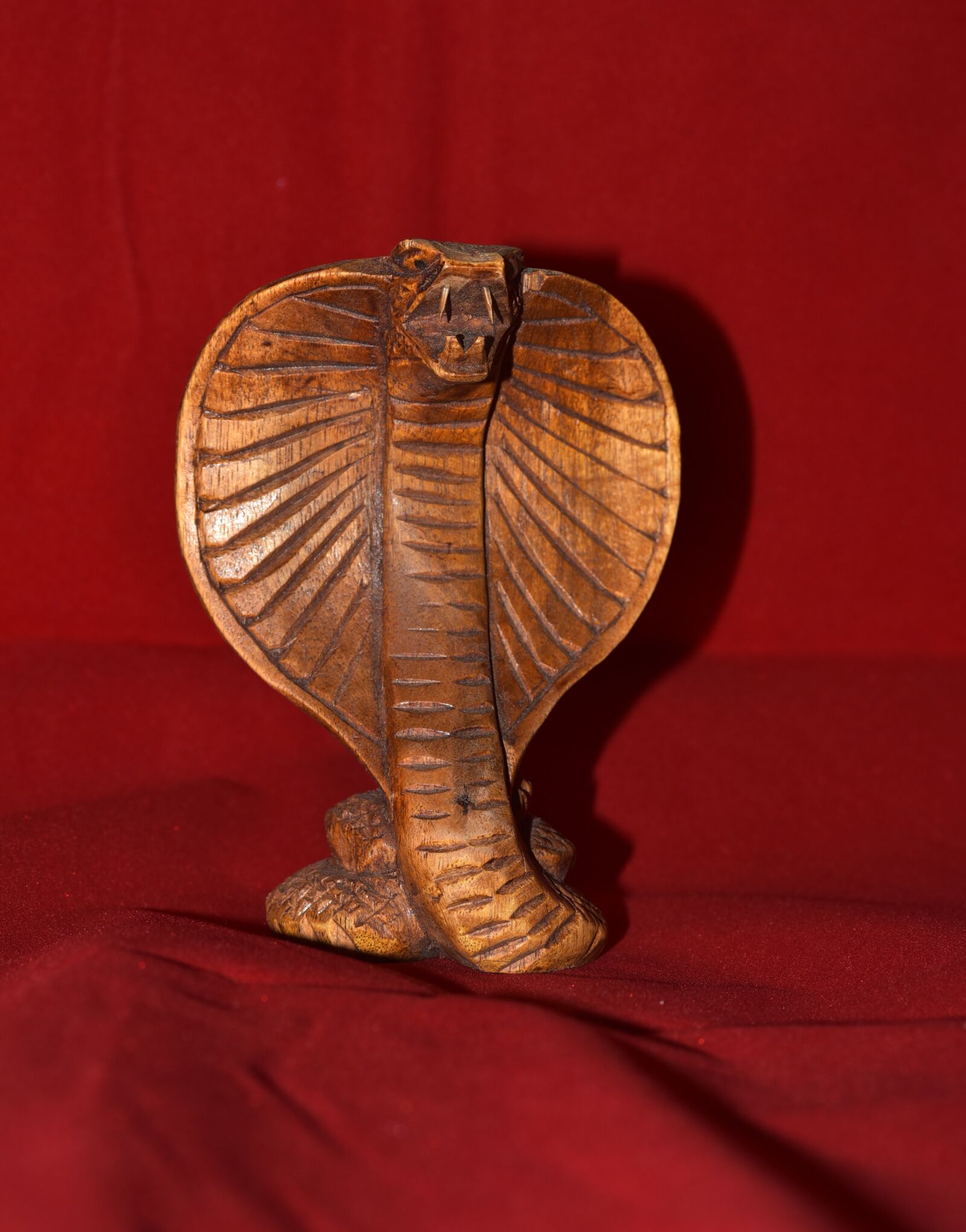 Nikon D750 sample photo. Cobra, wood, snake photography