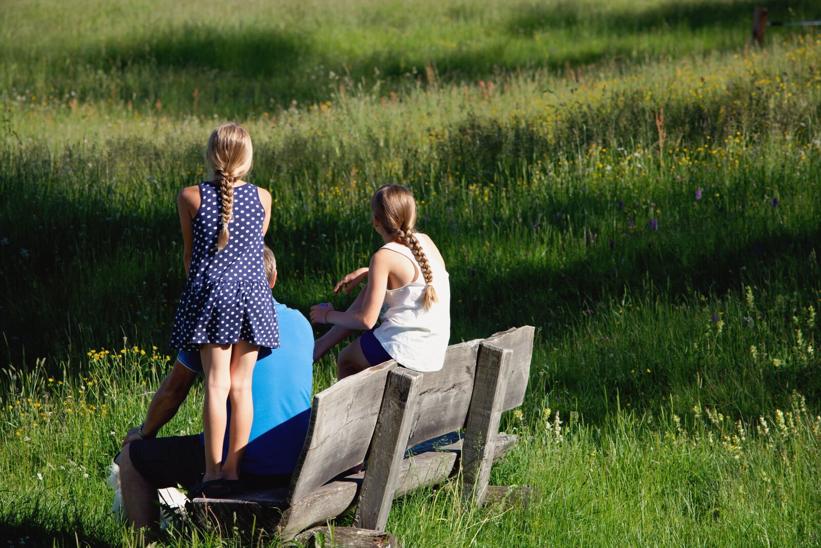 Nikon D7100 sample photo. Bench, click, rest photography