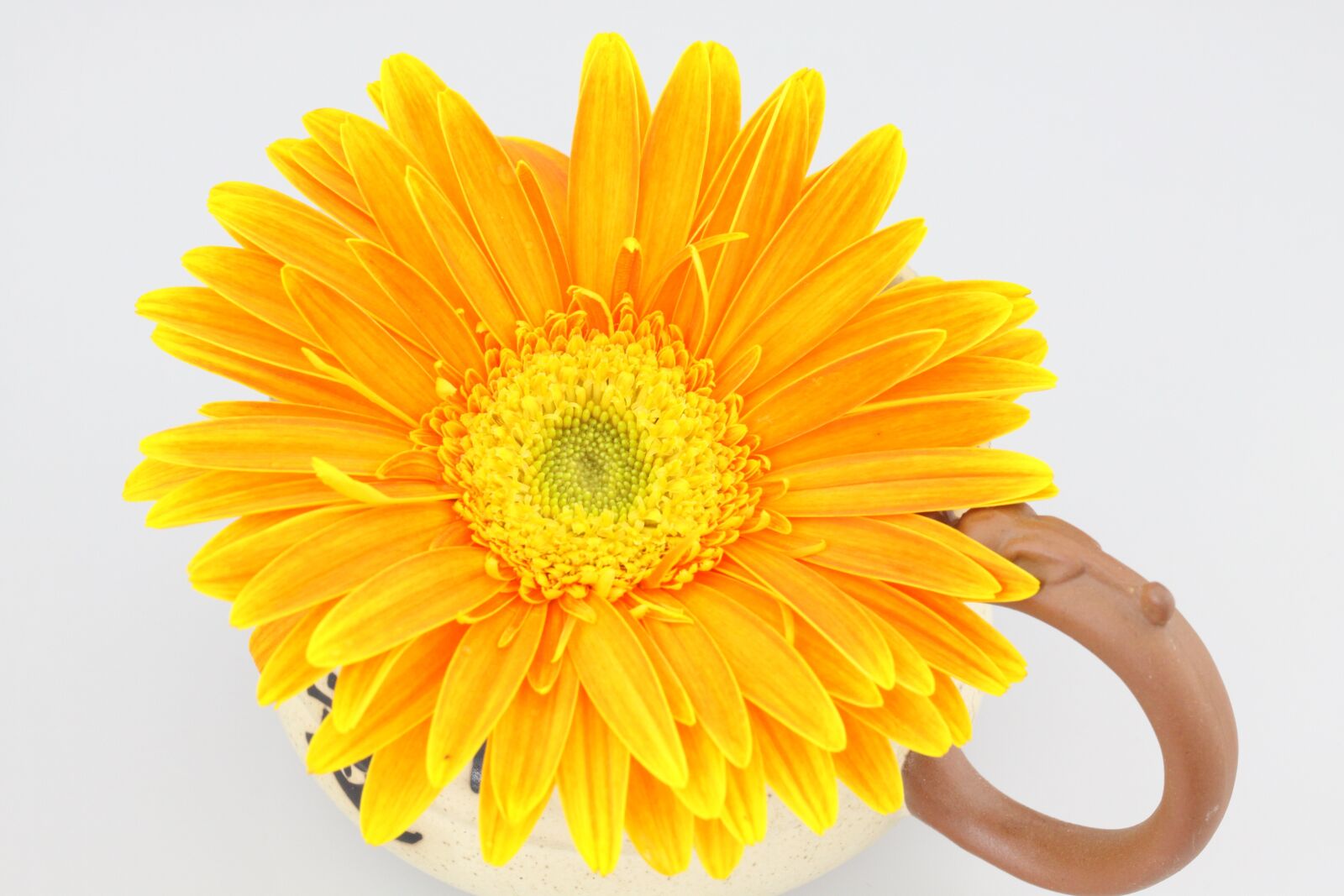 Canon EOS 50D sample photo. Chrysanthemum, orange, flower photography