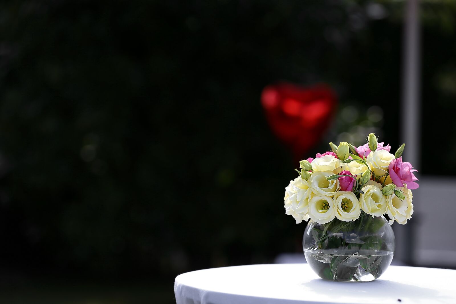 Canon EOS 6D + Canon EF 70-200mm F2.8L IS II USM sample photo. Roses, vase, fresh water photography