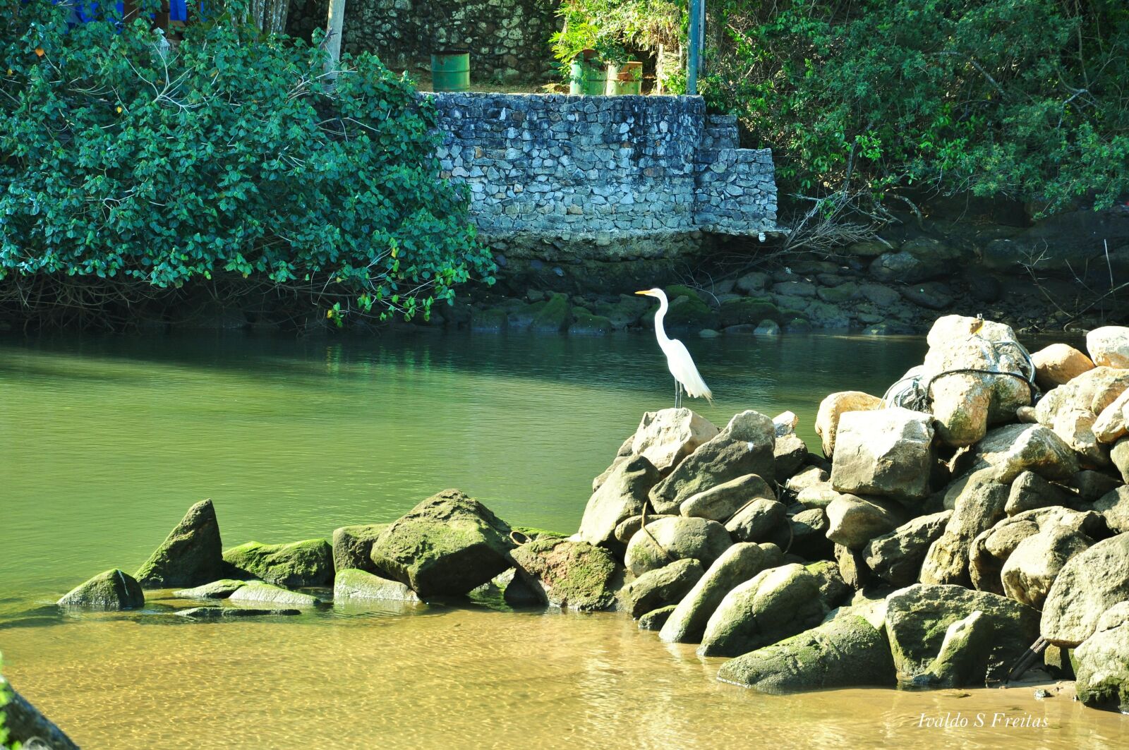 Nikon D90 sample photo. Rio, água, natureza photography