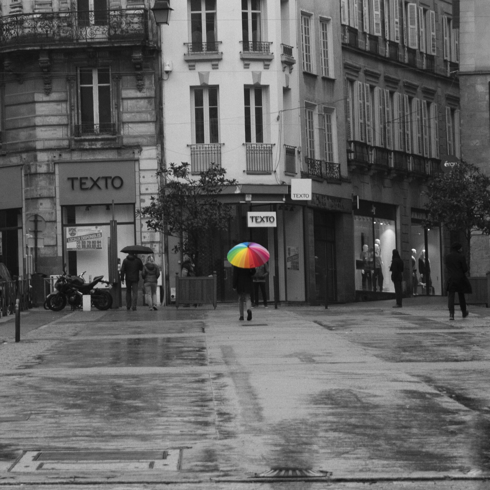 Nikon D5600 sample photo. Rain, city, umbrella photography