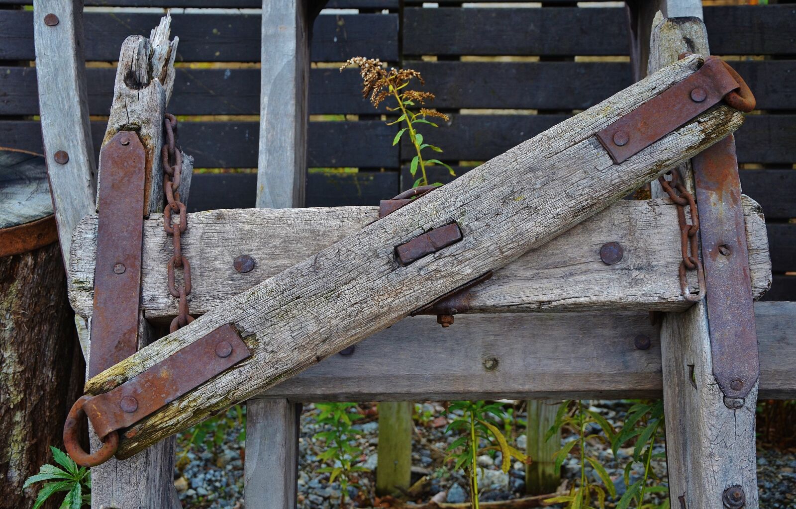 Nikon D7000 sample photo. Wood, trees, old photography