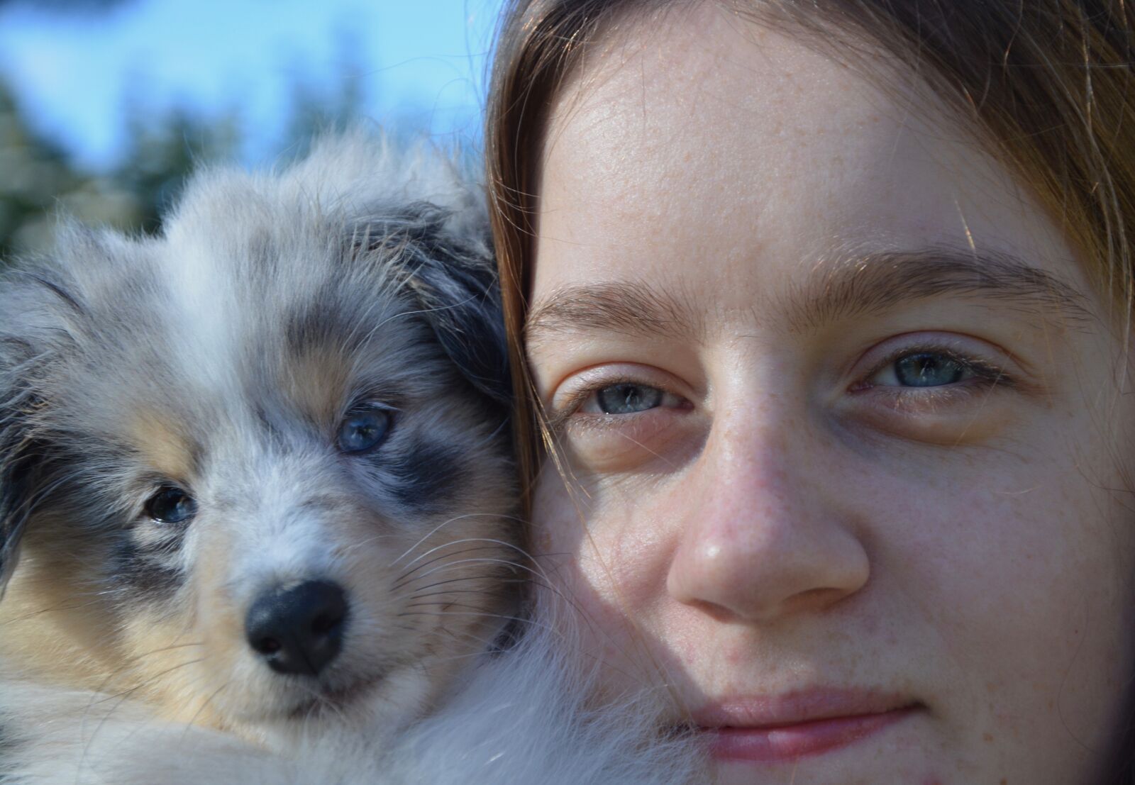 Nikon D5200 sample photo. Look, eyes, dog photography