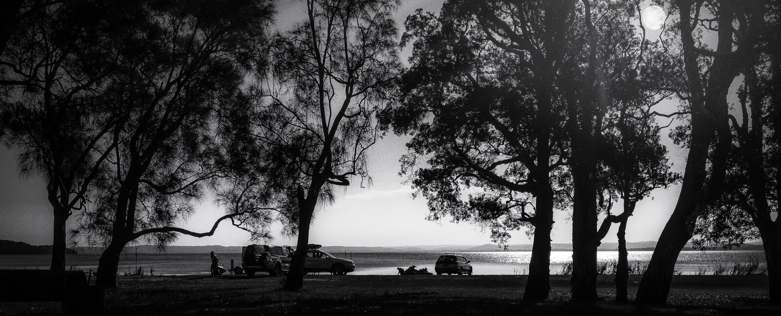 Nikon D7100 sample photo. Moonlight, fishing, black and photography