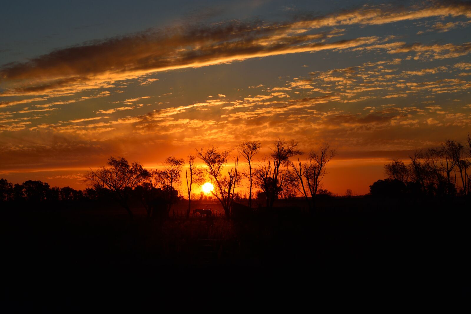 Nikon D5200 sample photo. Landscape, field, sky photography