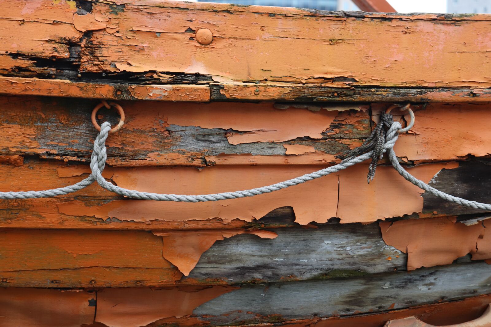 Canon EOS 200D (EOS Rebel SL2 / EOS Kiss X9) sample photo. Wood, old, boat photography