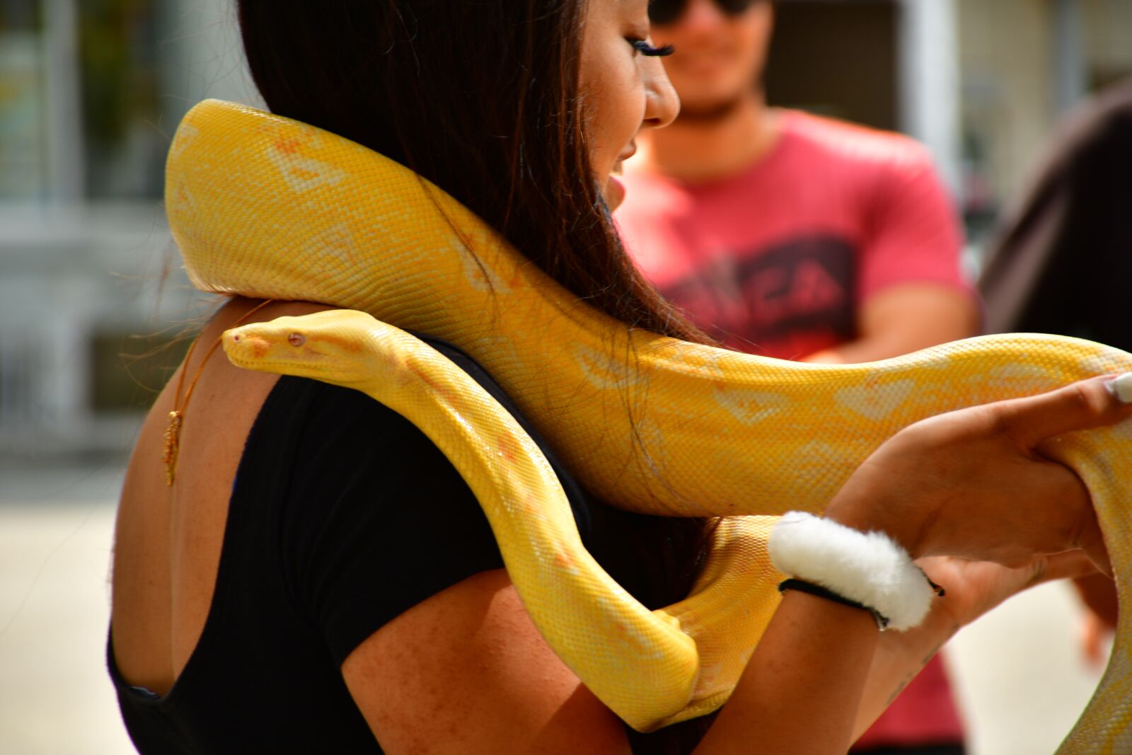 Nikon D7500 sample photo. Snake girl, python, reptile photography