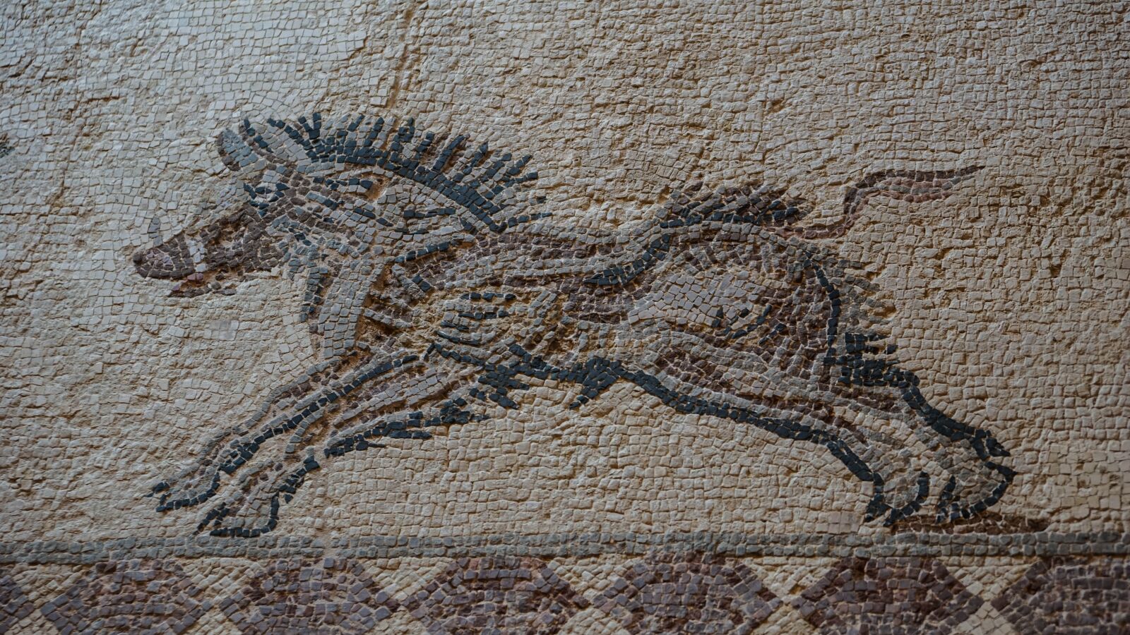 Sony a6000 + Sony Vario-Tessar T* E 16-70mm F4 ZA OSS sample photo. Mosaic, cyprus, museum photography