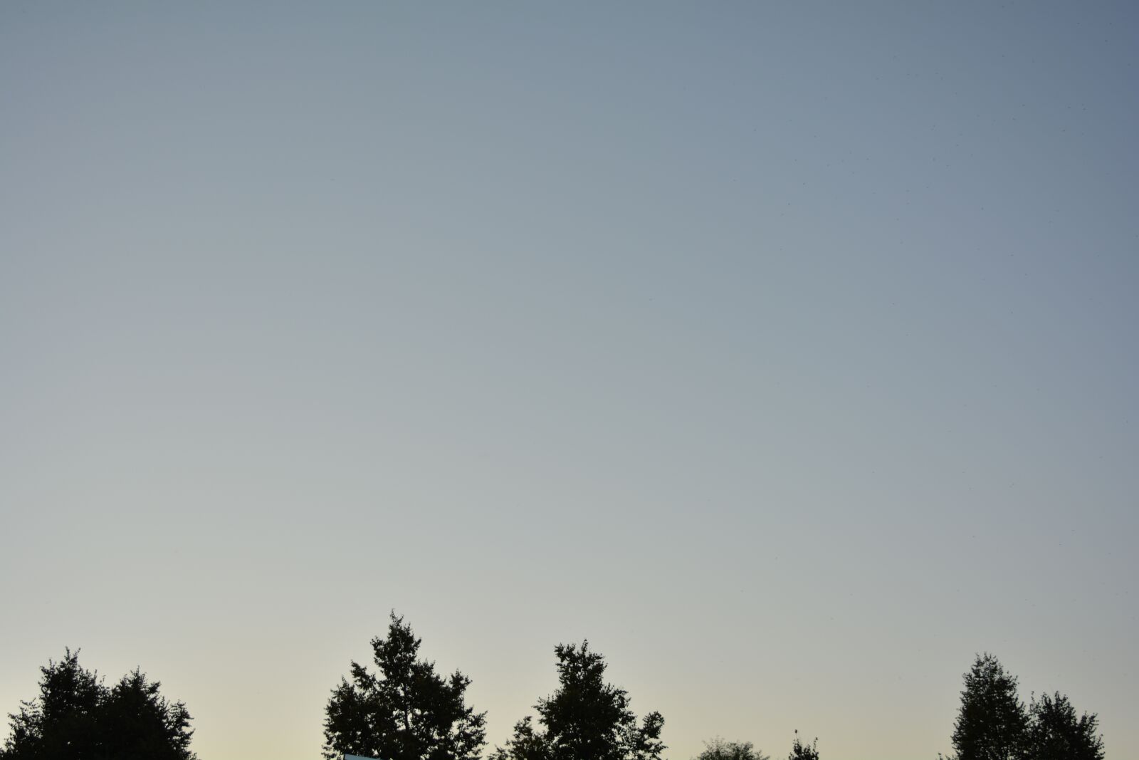 Nikon D5200 sample photo. Tree, trees, nature photography
