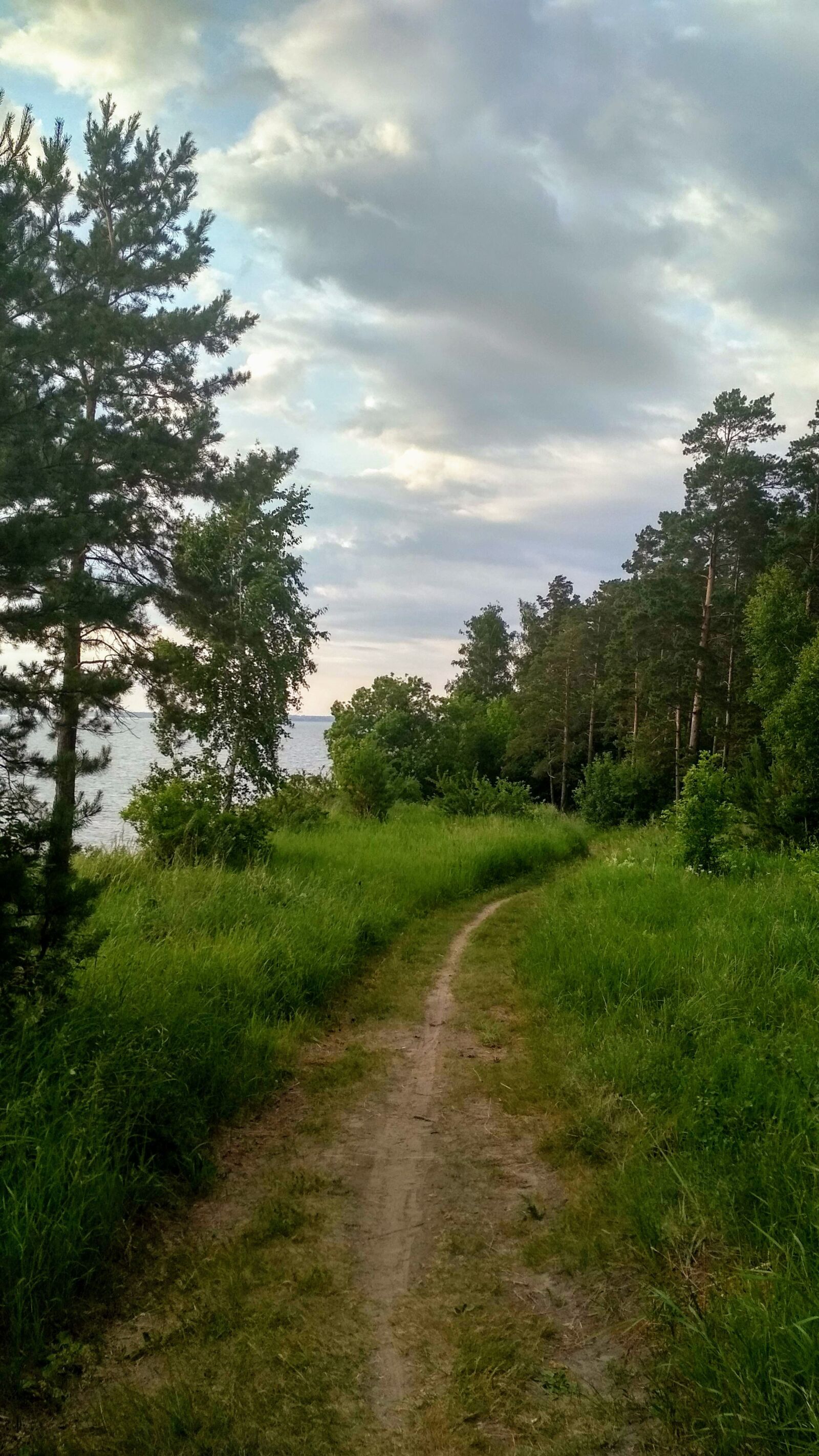 Xiaomi Redmi 4X sample photo. Green, road, nature photography