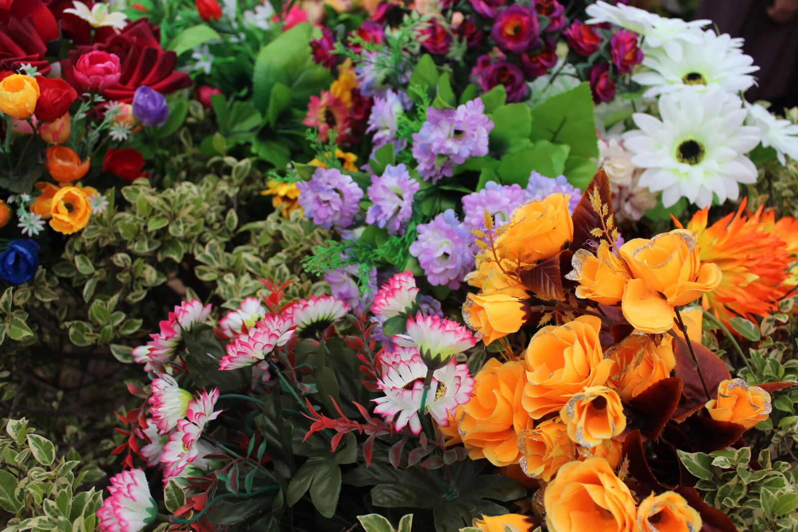 Canon EOS 700D (EOS Rebel T5i / EOS Kiss X7i) sample photo. Flowers, orange flower, blue photography