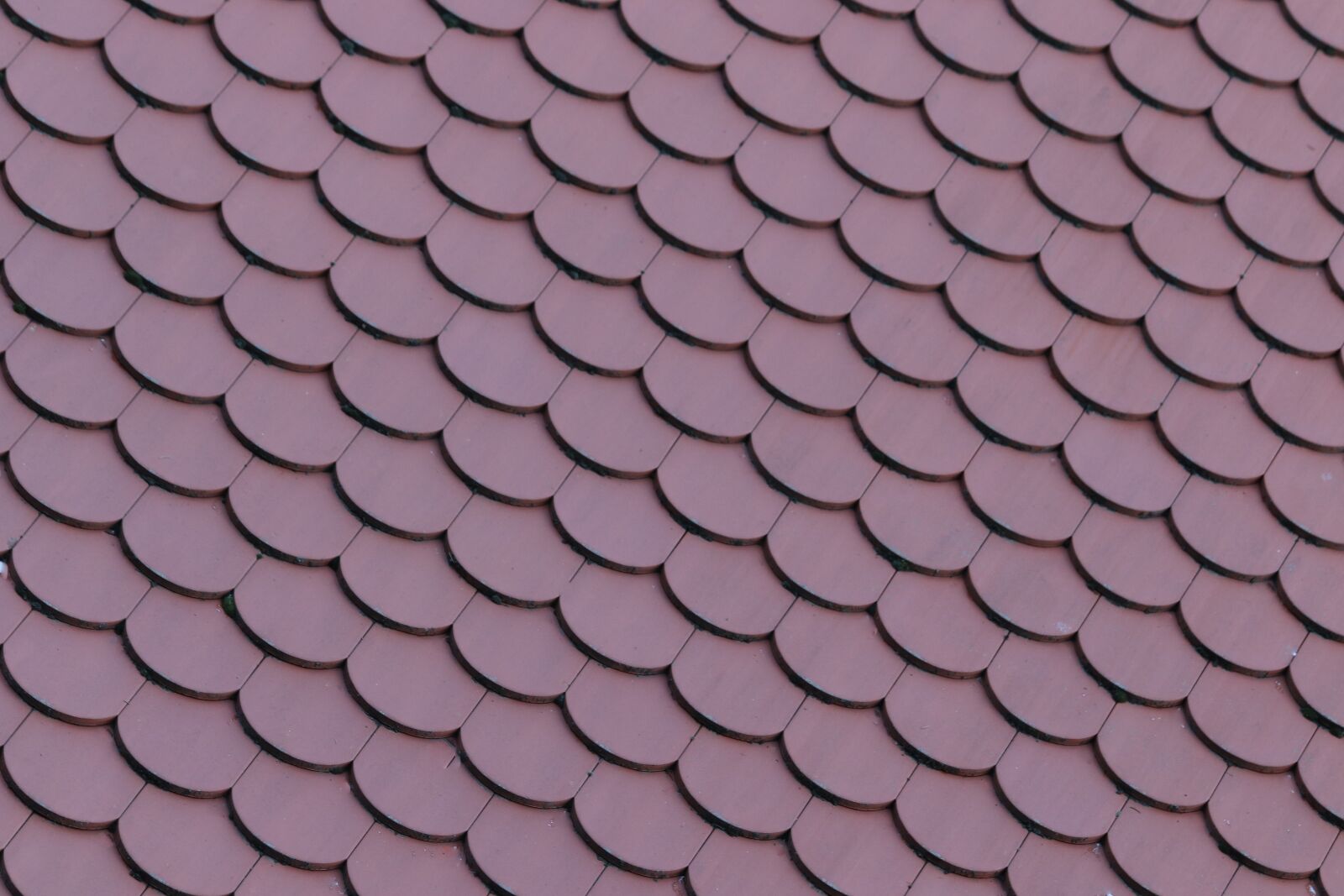 Canon EOS 200D (EOS Rebel SL2 / EOS Kiss X9) sample photo. House roof, tile, red photography