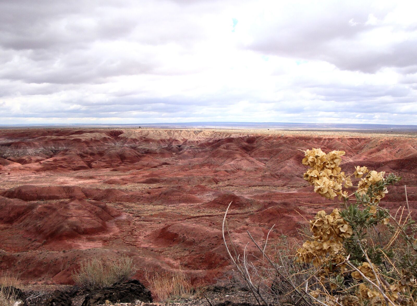 Sony Cyber-shot DSC-W150 sample photo. Petrified forest national park photography