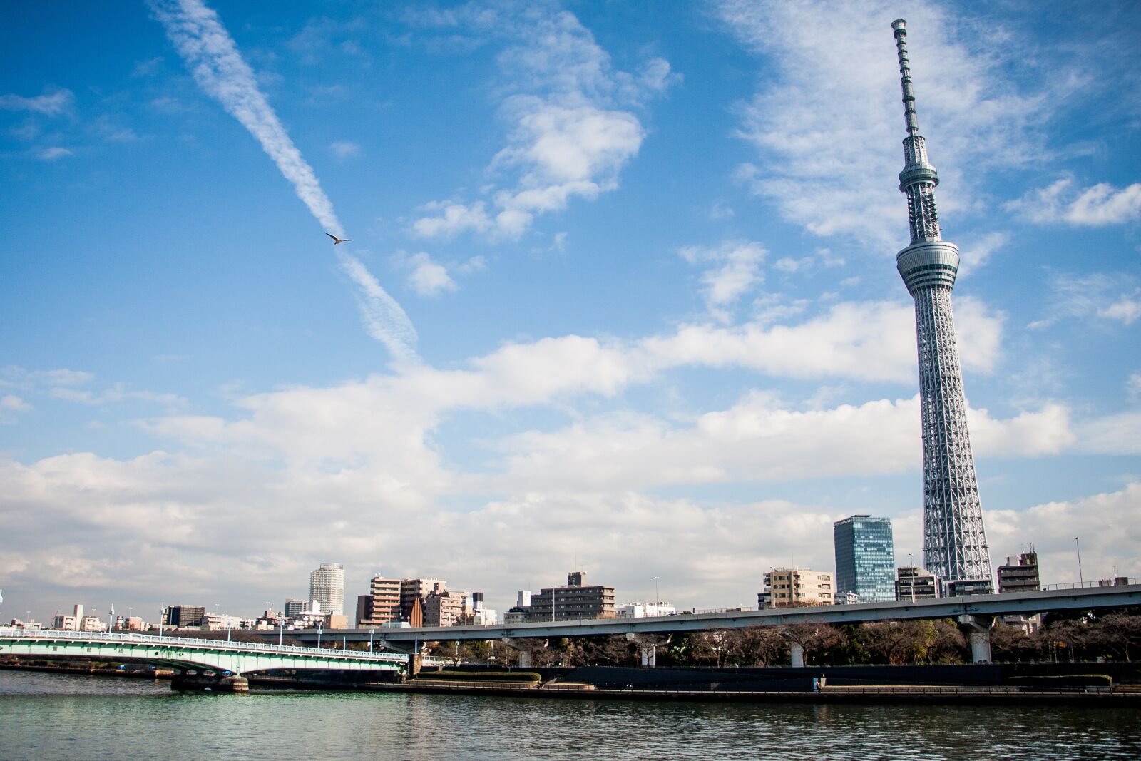 Canon EOS 40D + Canon EF-S 18-135mm F3.5-5.6 IS STM sample photo. Nature of tokyo skytree photography