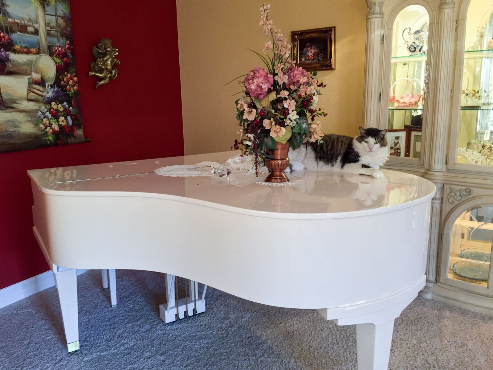 Apple iPhone 6 sample photo. Cat, piano, animal photography