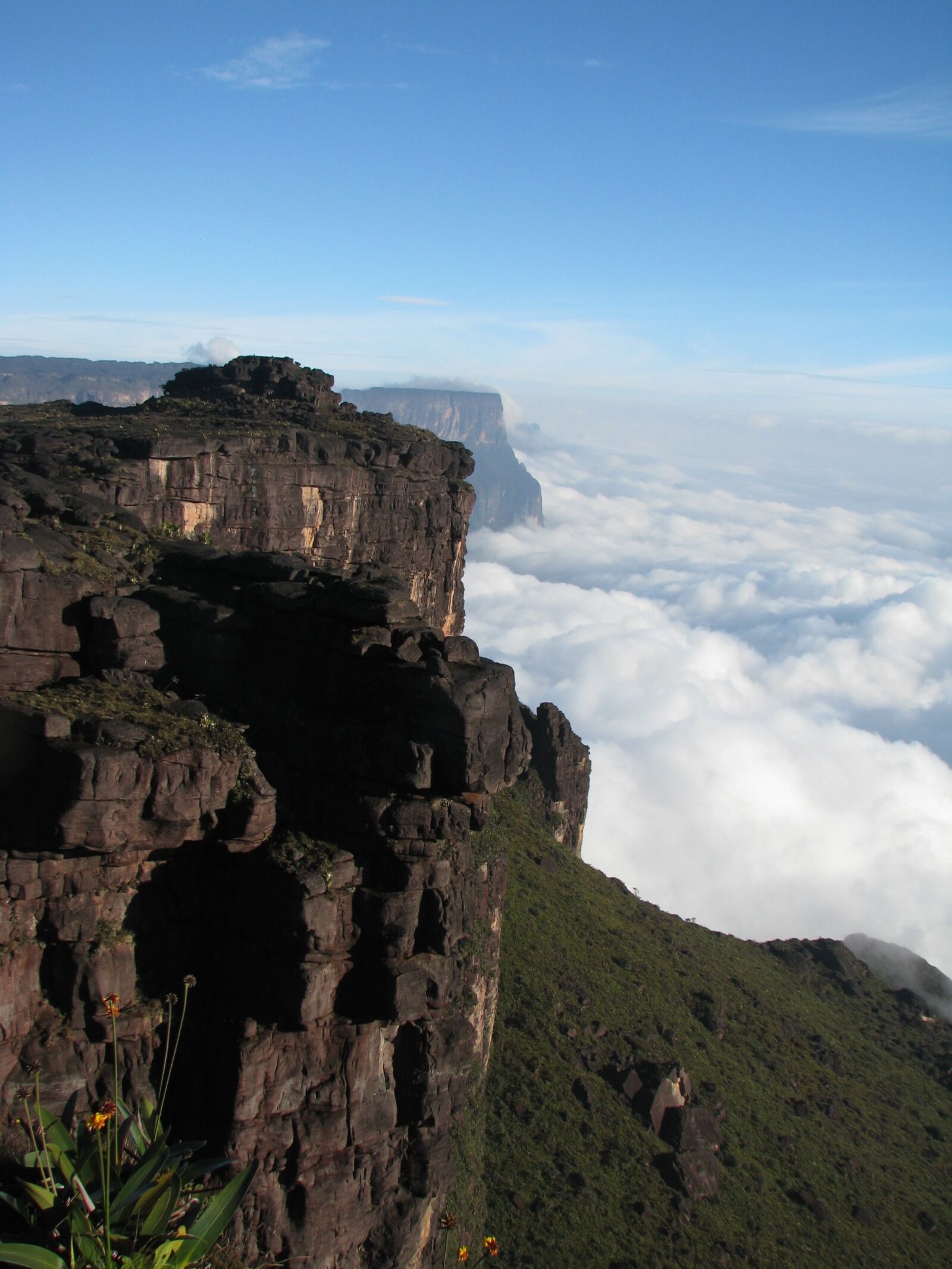 Canon POWERSHOT S5 IS sample photo. Nature, roraima, canaima photography