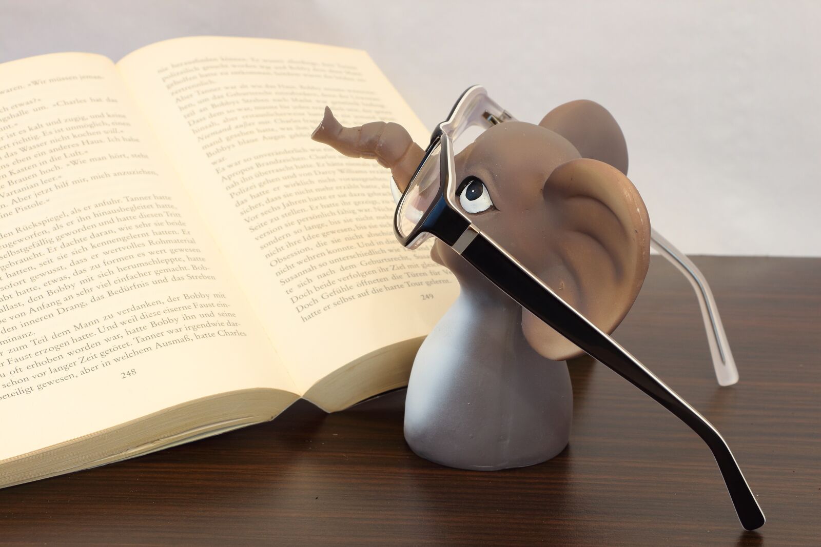 Canon EOS 700D (EOS Rebel T5i / EOS Kiss X7i) sample photo. Elephant, glasses, book photography
