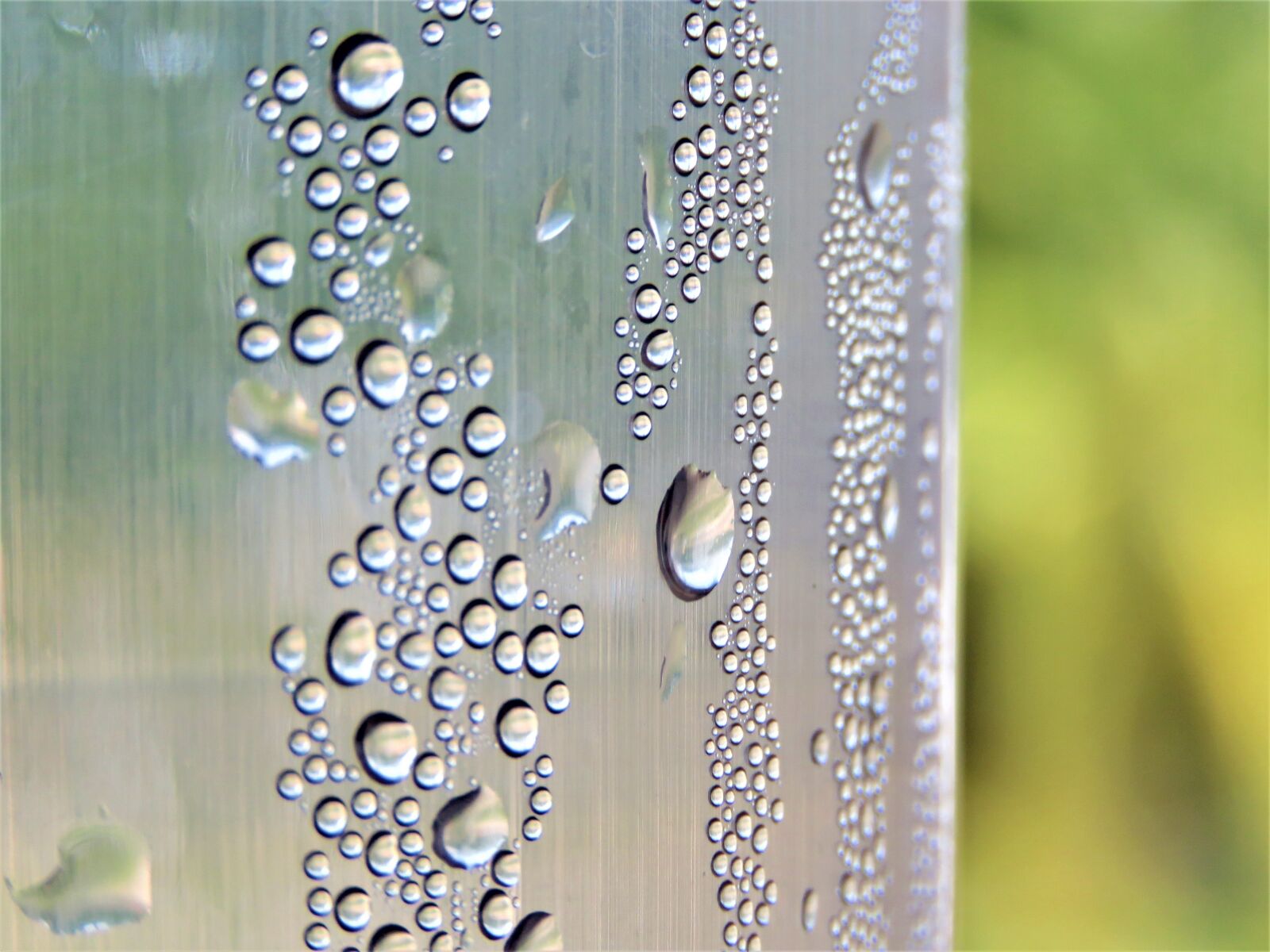 Canon PowerShot SX60 HS sample photo. Water, droplet, rain photography