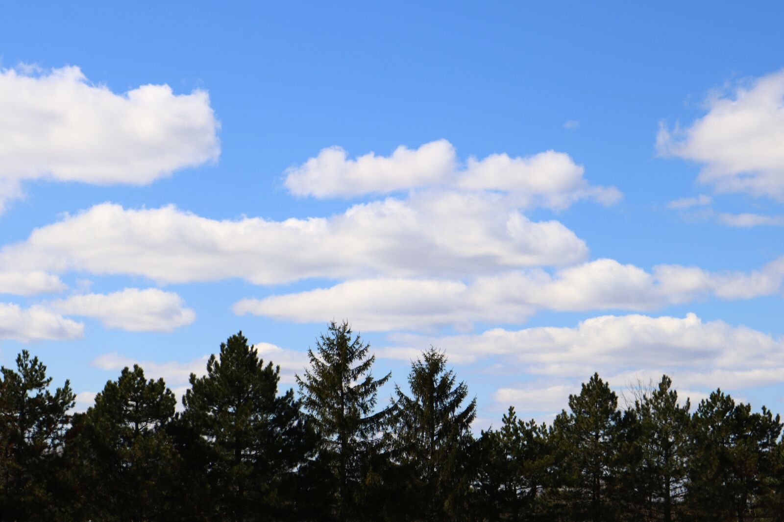 Canon EOS 750D (EOS Rebel T6i / EOS Kiss X8i) sample photo. Sky, blue sky, clouds photography