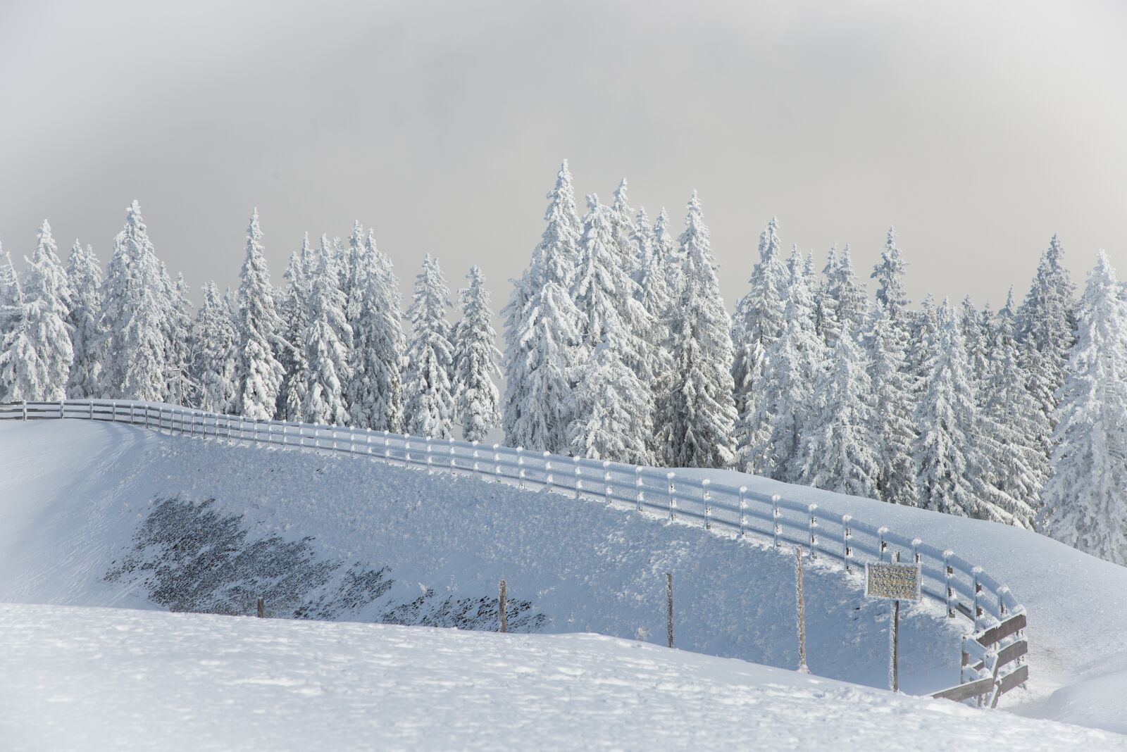 Nikon D800 sample photo. Winter, snow, nature photography