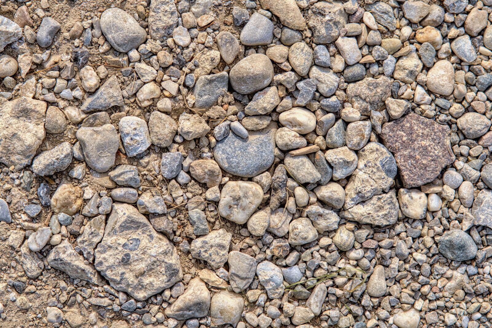 Nikon D7500 sample photo. Background, texture, pattern photography