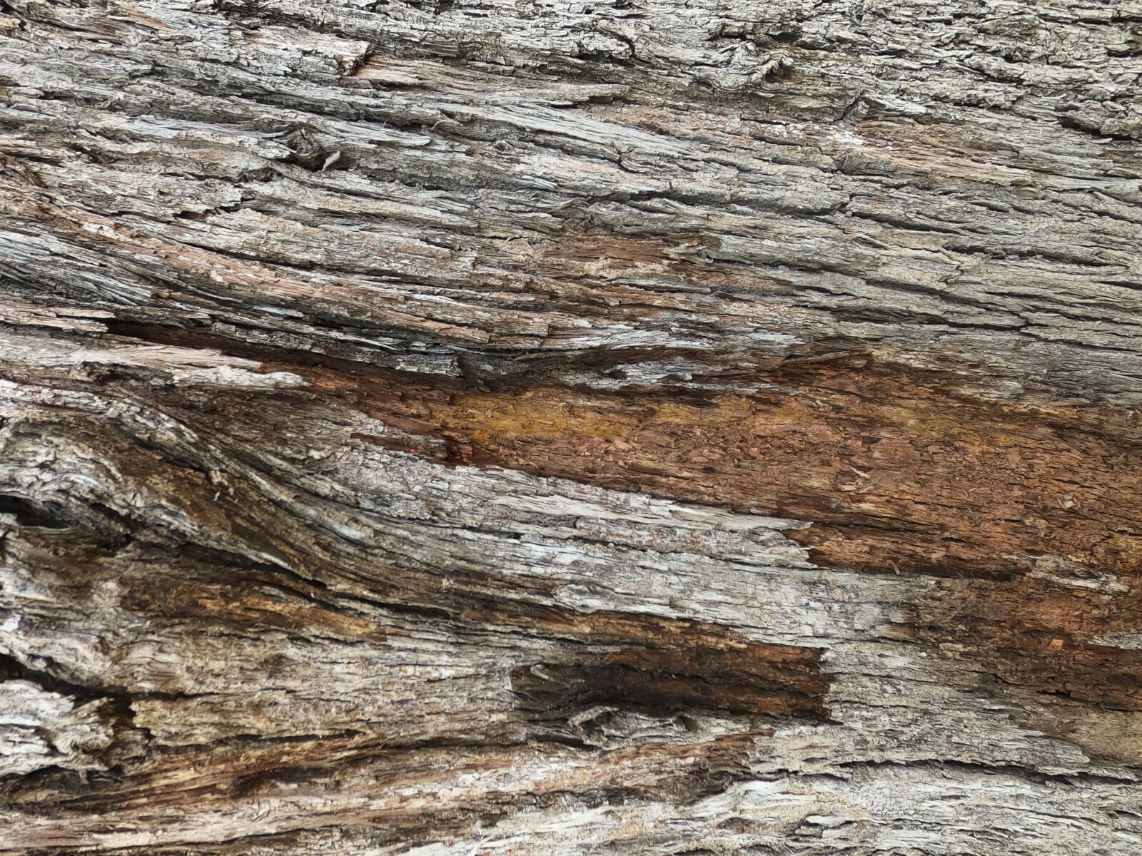 GoPro Hero8 Black sample photo. Wood-fibre boards, wood, old photography