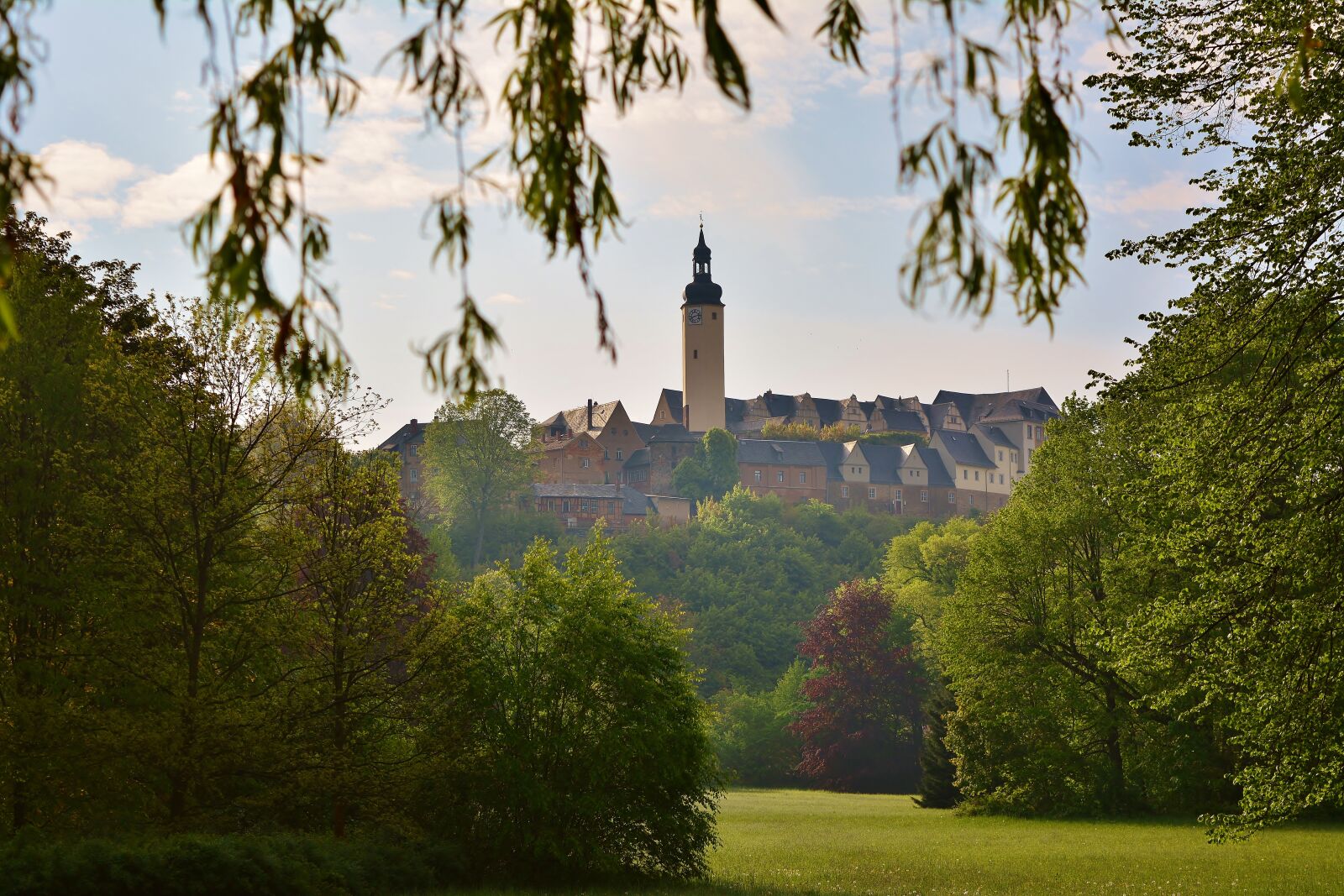 Nikon D5200 sample photo. Greiz, castle park, nature photography