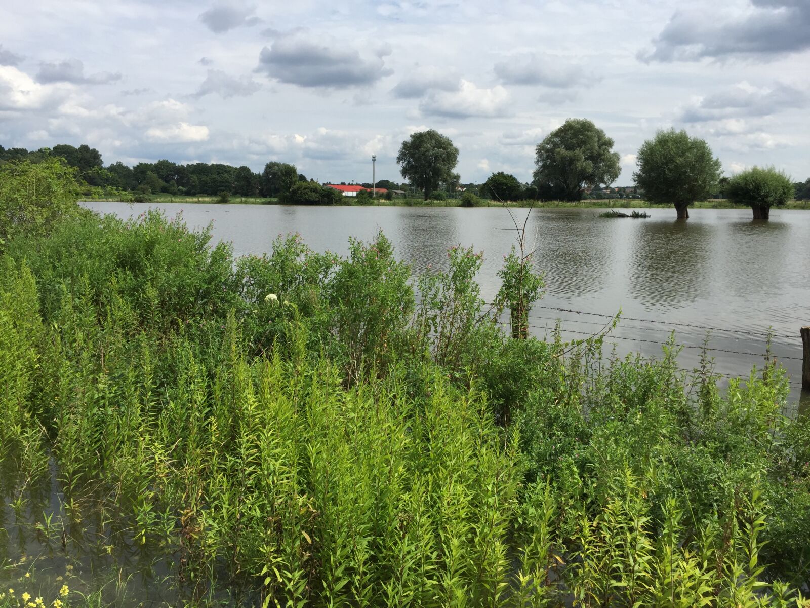 Apple iPhone 6 sample photo. Hochwasser photography