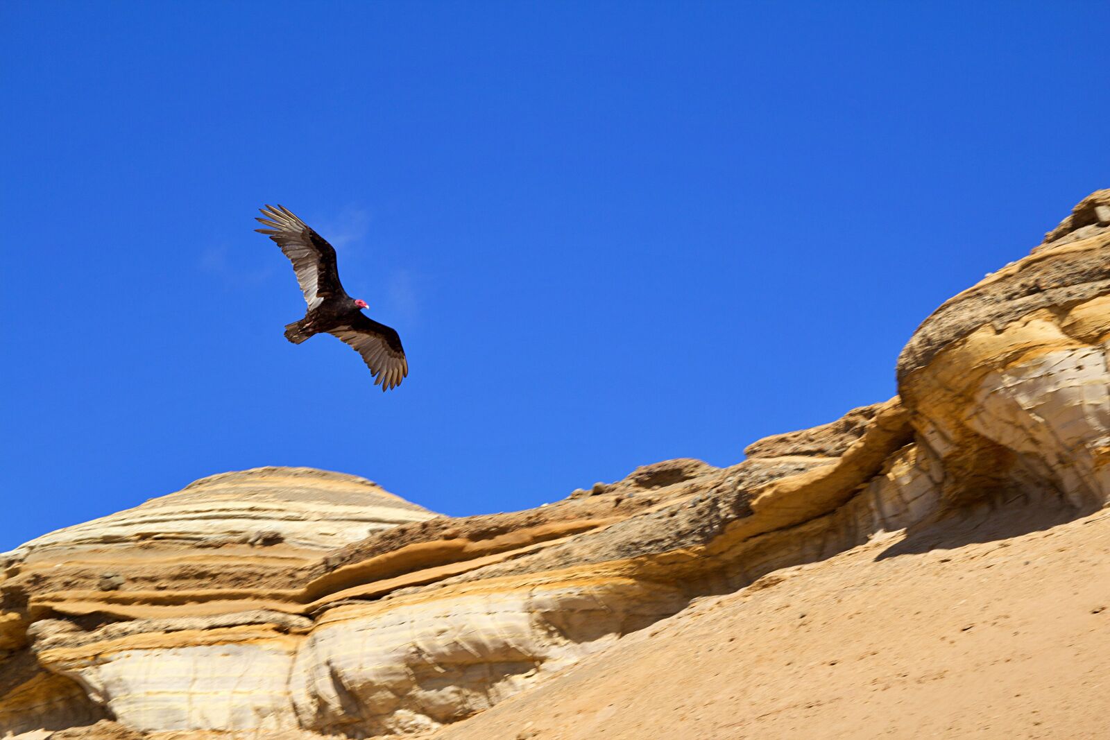 Canon EOS 600D (Rebel EOS T3i / EOS Kiss X5) sample photo. Chile, coast, nature photography