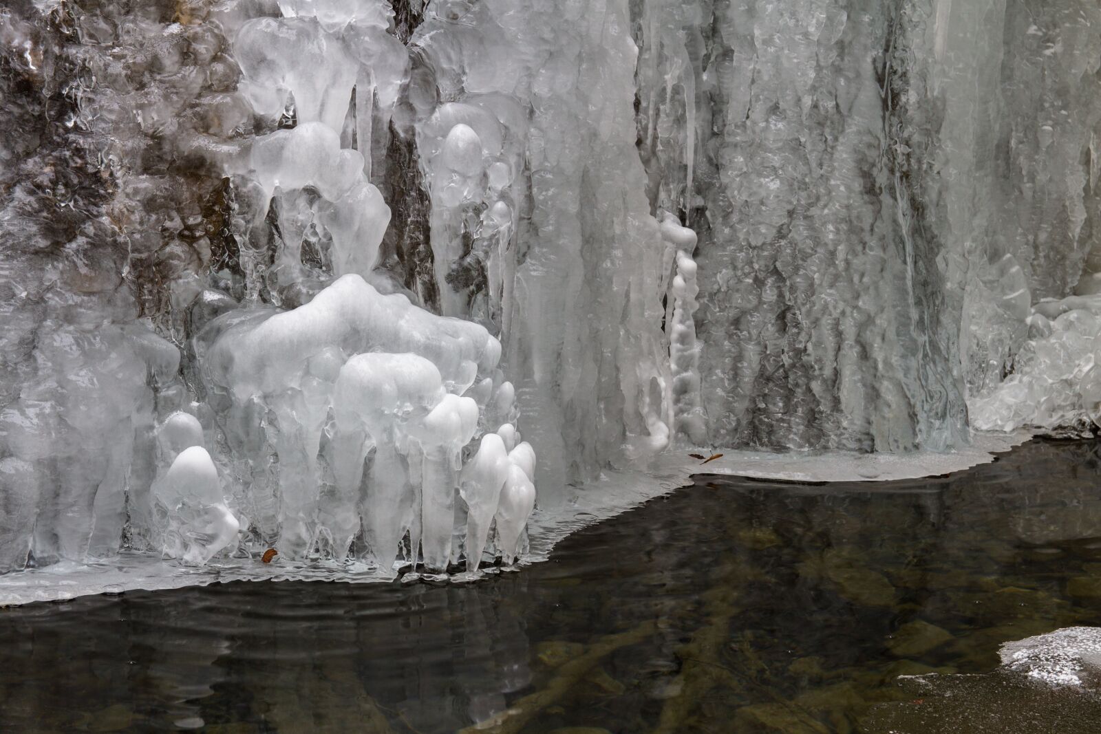 Canon EOS 7D sample photo. Ice, frost, winter photography